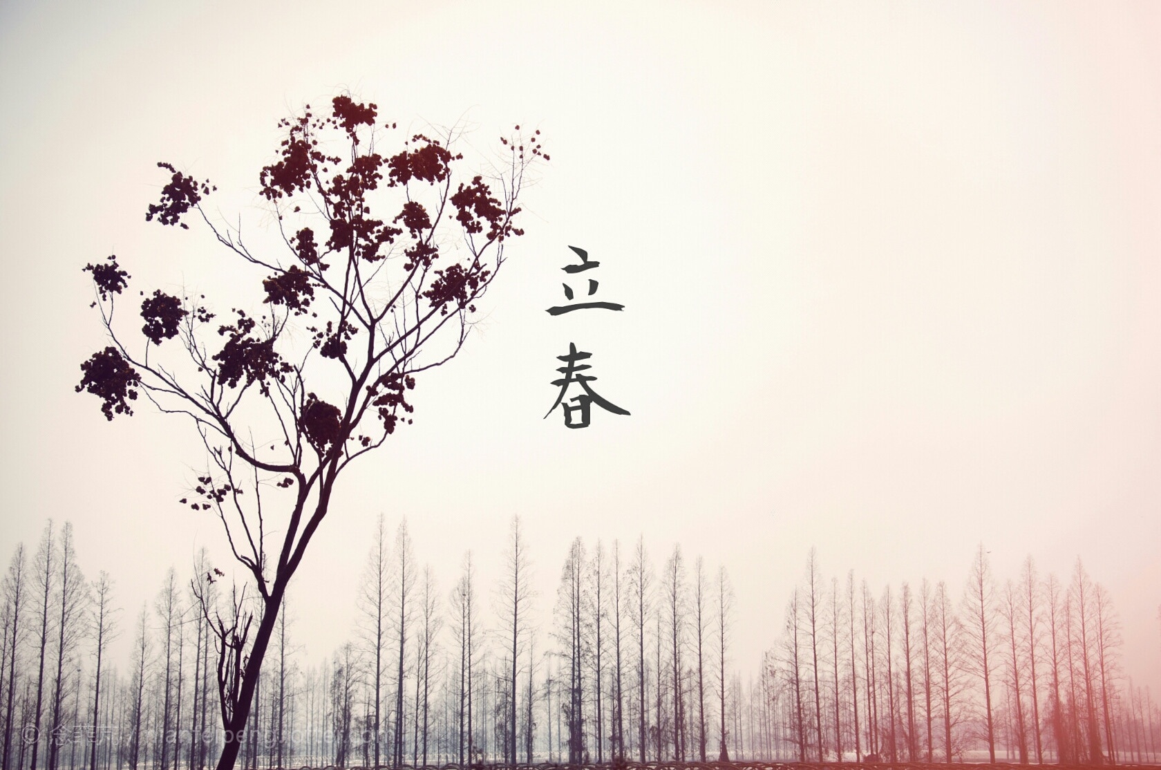 明日立春分享一大波立春的美图图片来自网络牵牵编辑