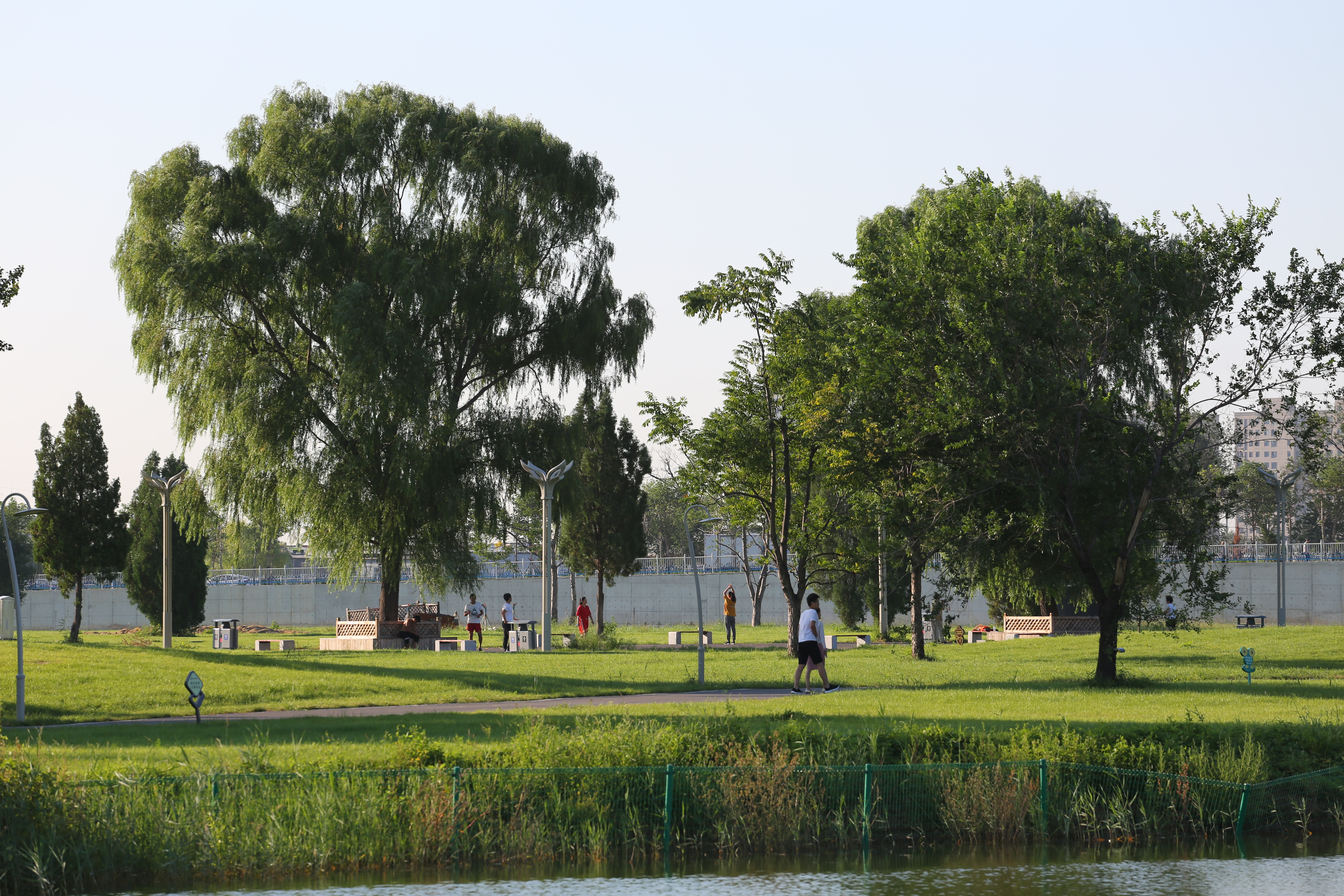 沧州大运河公园