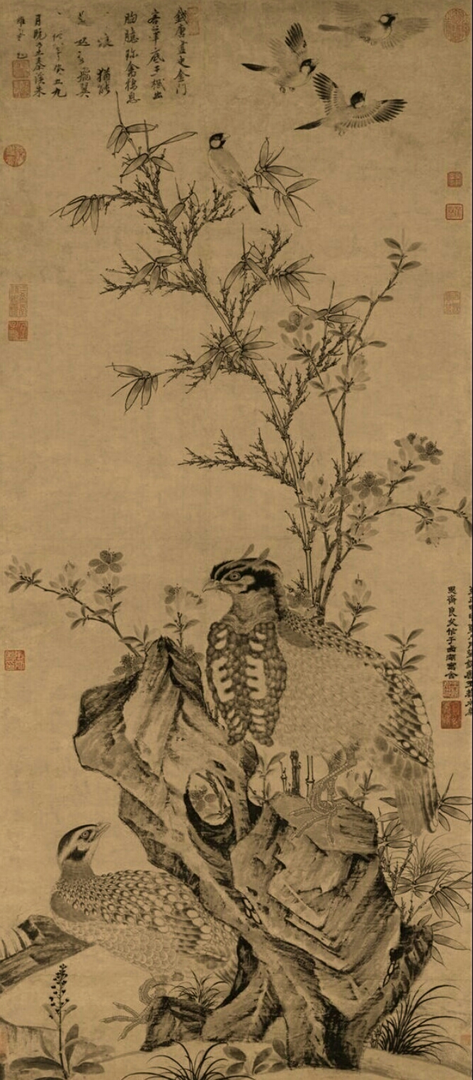 唐朝大师边鸾画作别具一番风格