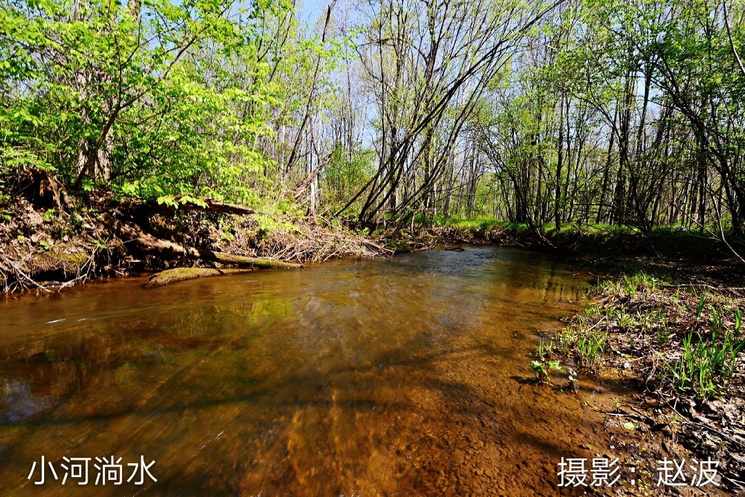 小河淌水