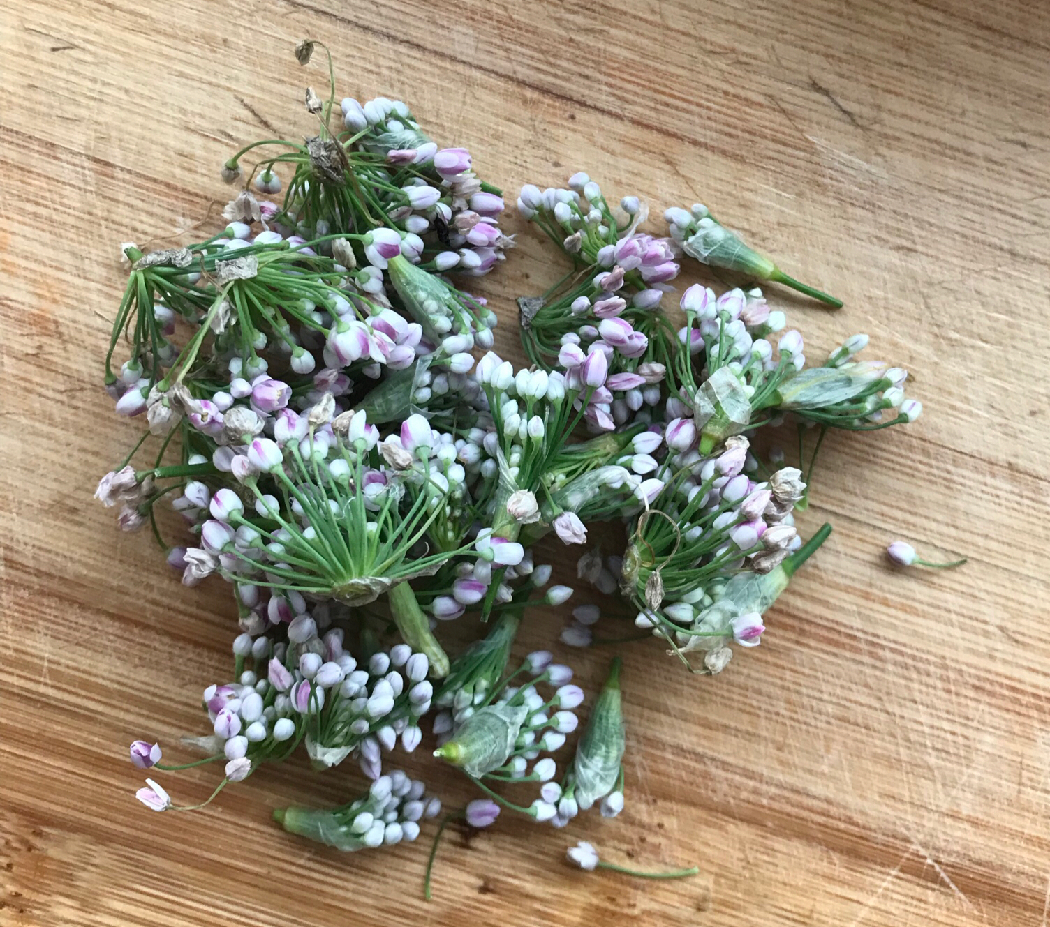 一个夏天已经过了一半,懒婆娘真是难得早起这么一会,七点