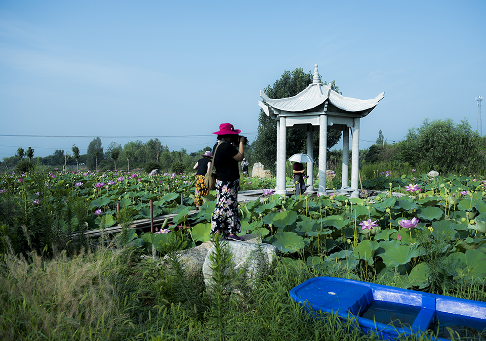 走近泰山茶溪谷