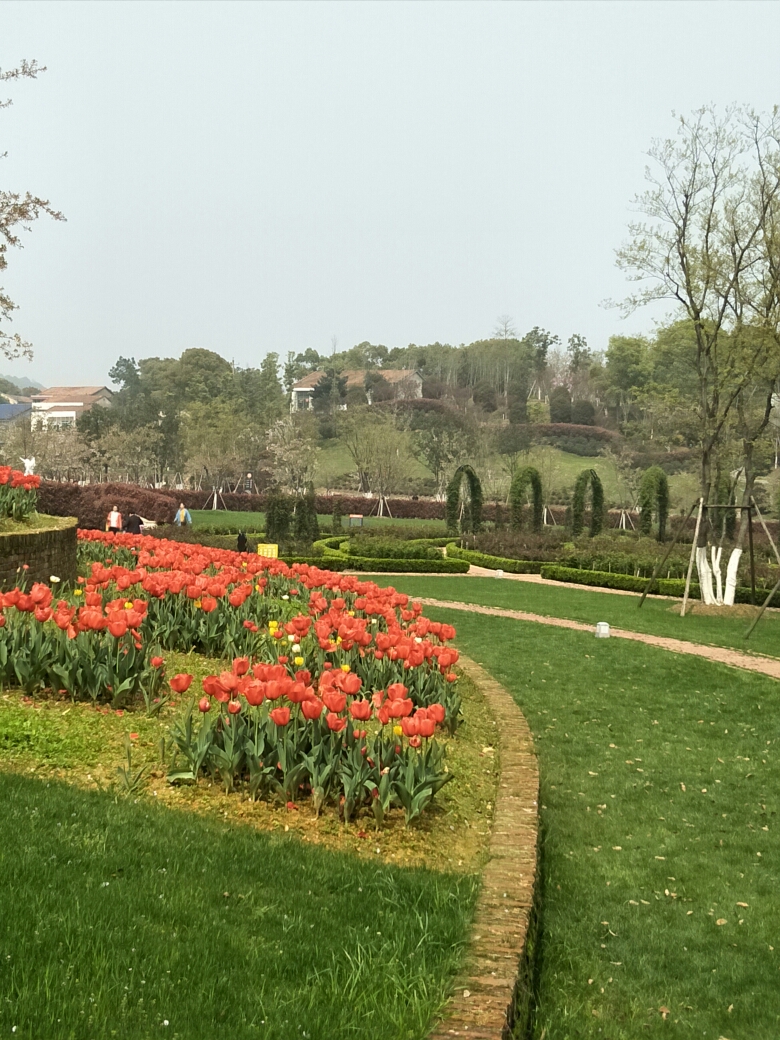 岳阳县花约四季图片