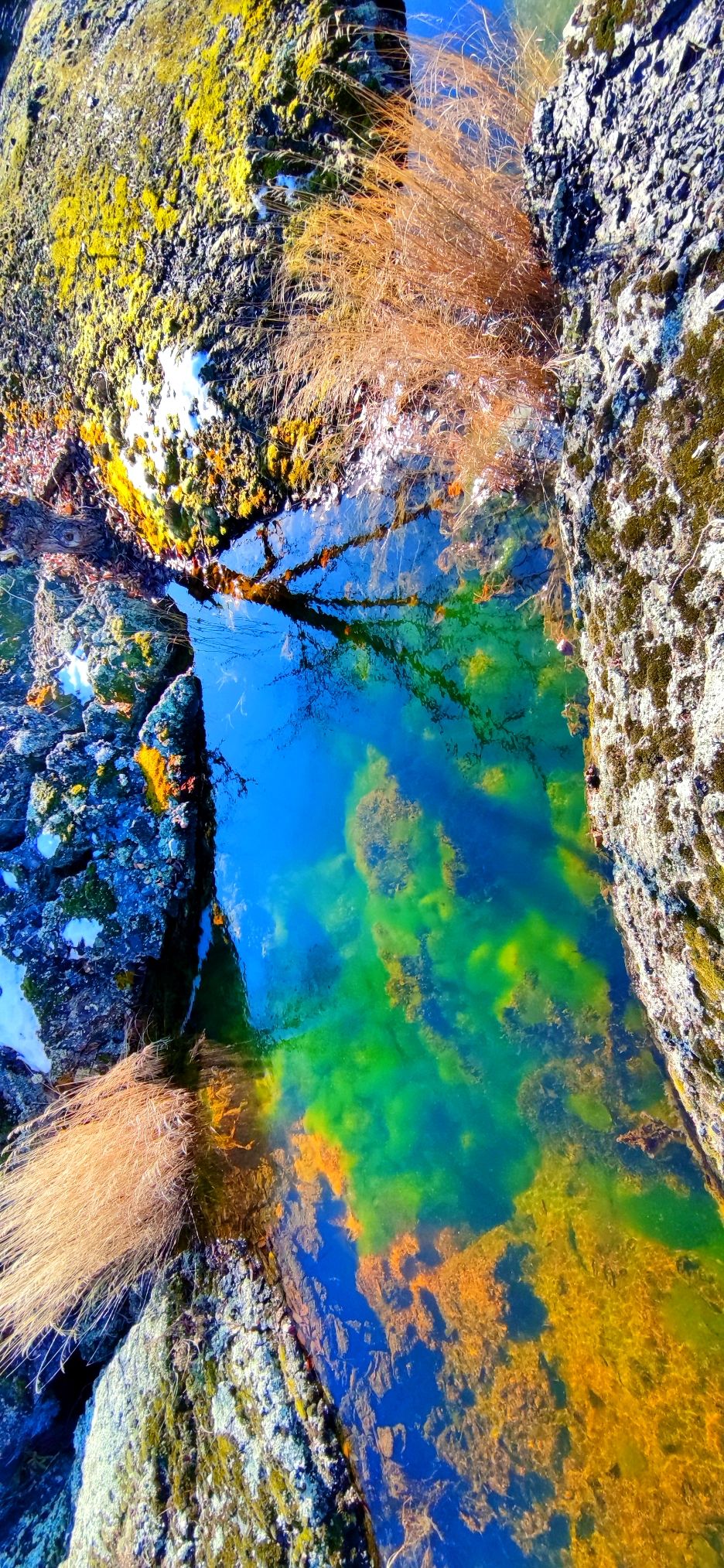 游五大连池冬季温泊水下如春