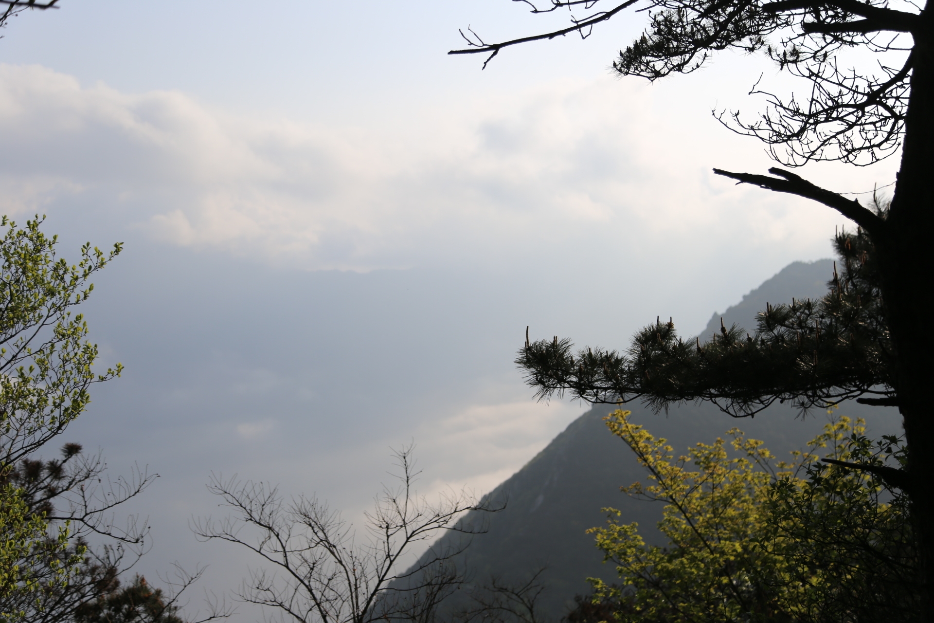 廬山真面目,讓我愛上了你.不識廬山真面目,只緣身在此山中.