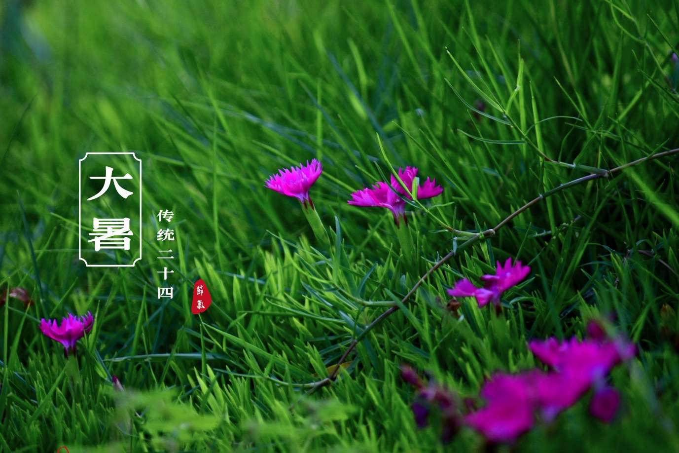 大暑时节的饮食与习俗