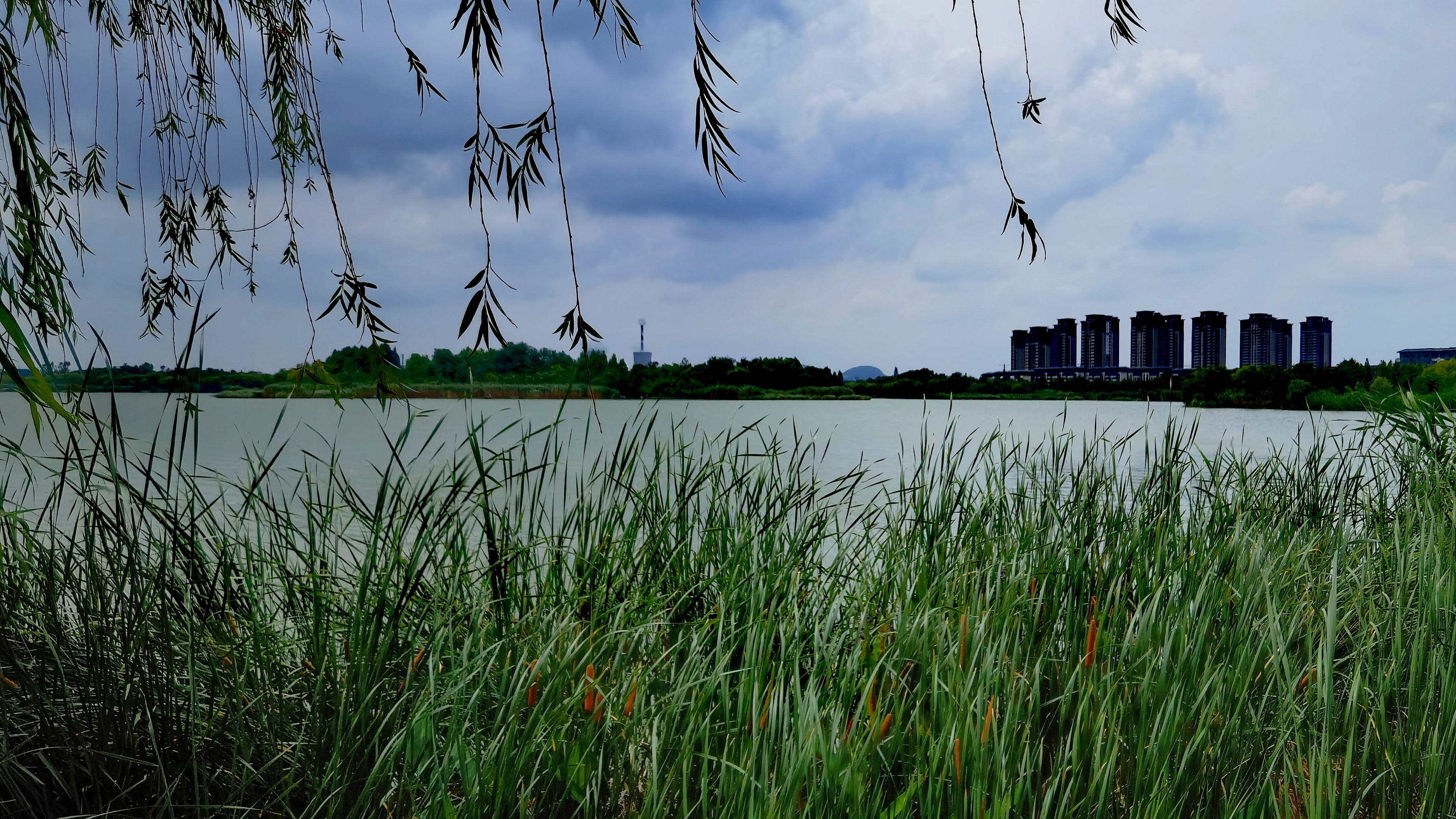 国家湿地潘安湖