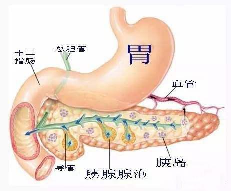 中医系统思维对亚健康的认识大病的来路与去路明者见