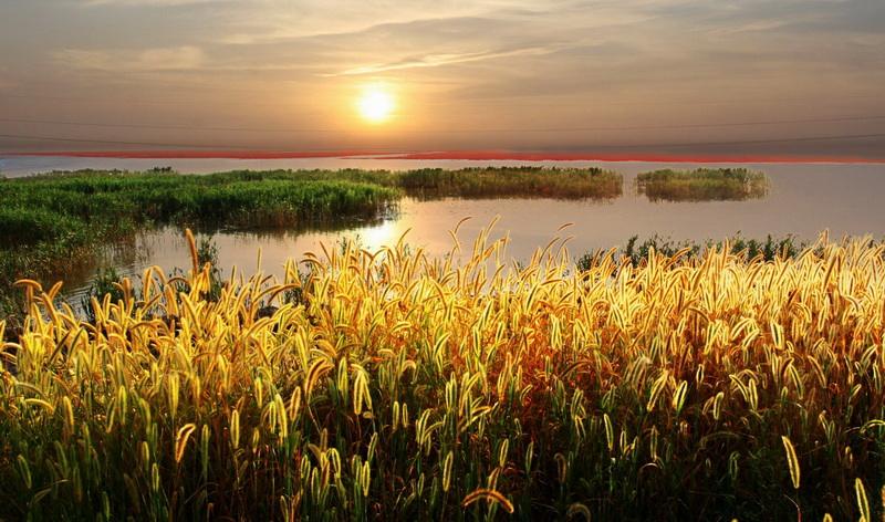 听||《江芦的咏叹》 作者:赵丽宏 朗读:幽雅