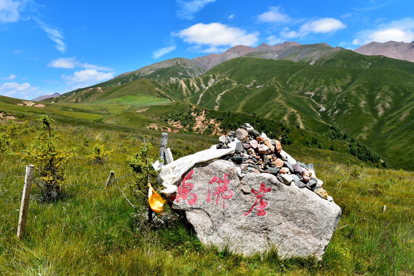 大美青海阿咪东索风景区