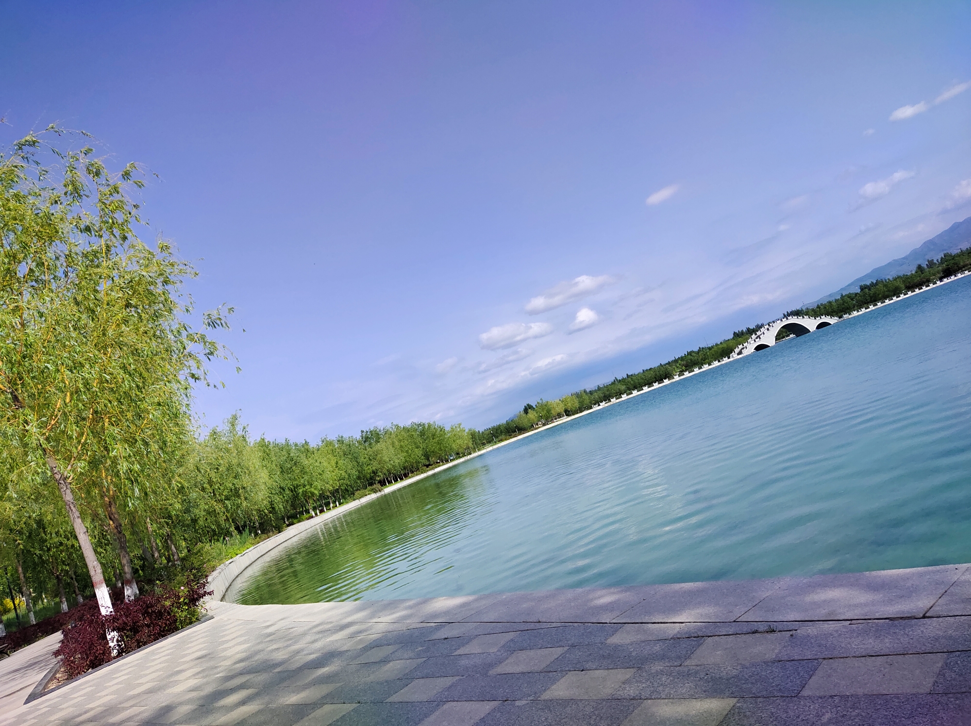 蝴蝶公园风景秀丽,园内植物种类繁多,公园南岸,临水逶迤排列着假山