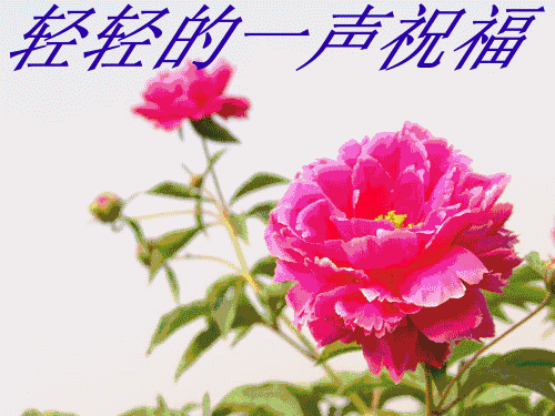 花谢花开,春去秋来,就这样默默的守侯,没有甜蜜的语言,没有动人的