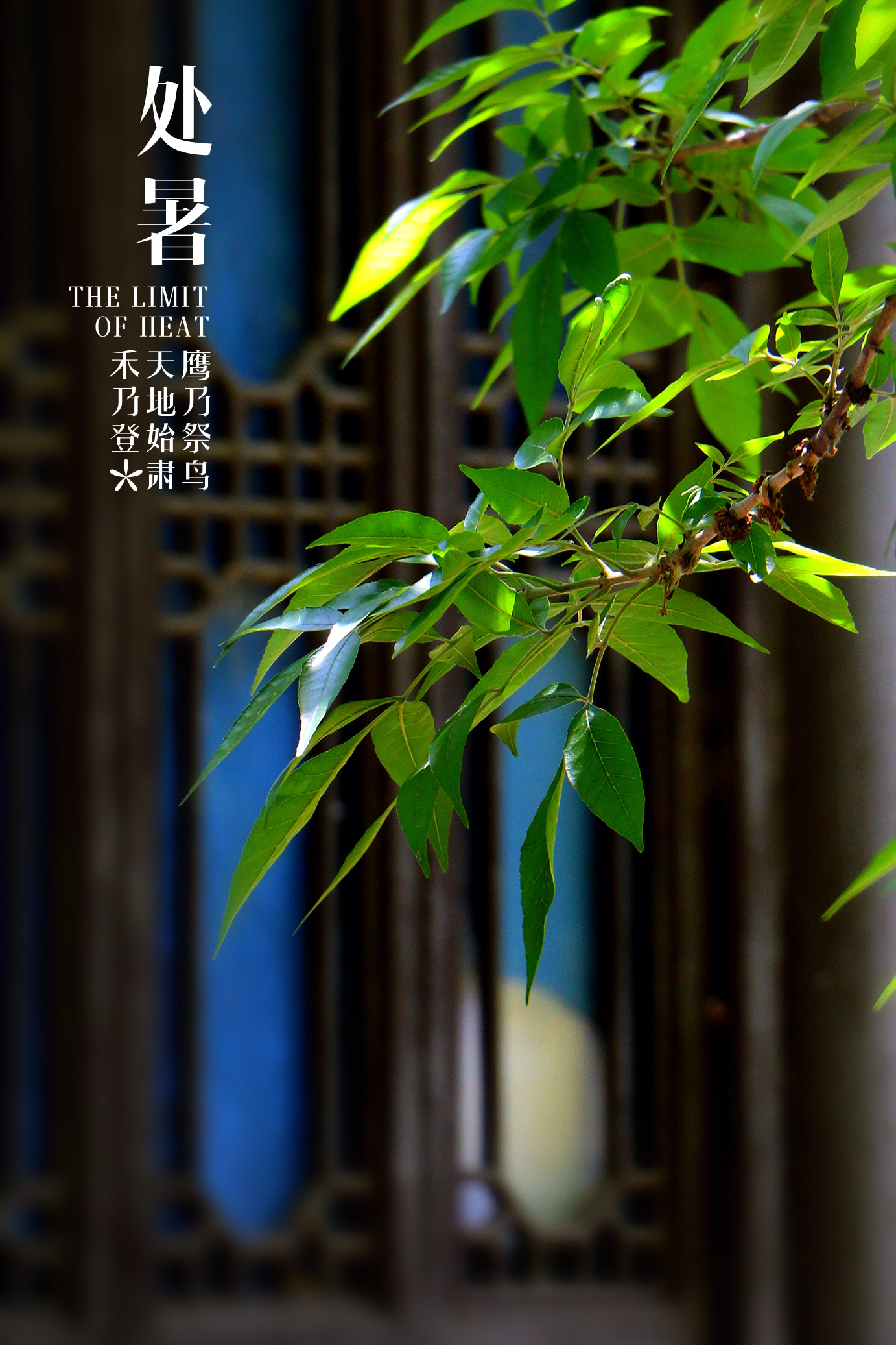 二十四节气—处暑《首发》