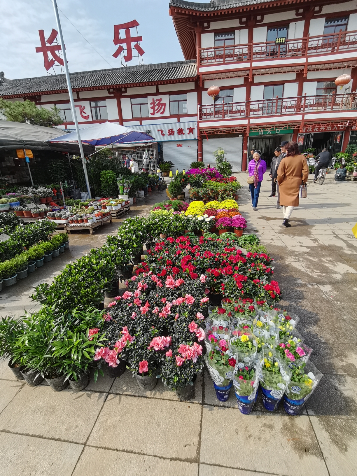 长乐花卉市场图片