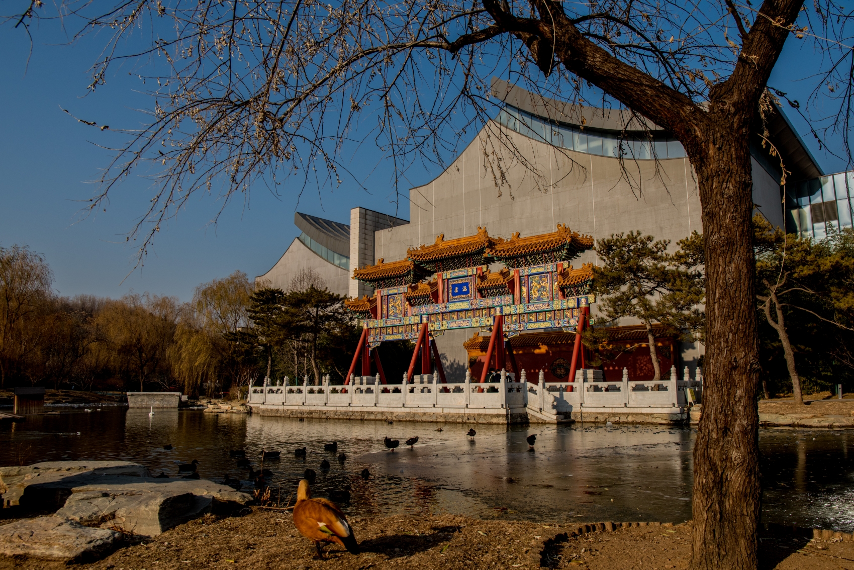 中国园林博物馆颐和园建园270周年
