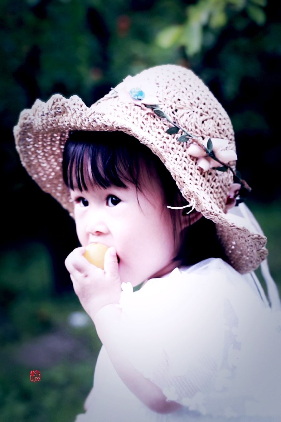 杏儿熟了 如约我们走进农家杏林 一睹这丰收怡人的景象 无意间 小不点