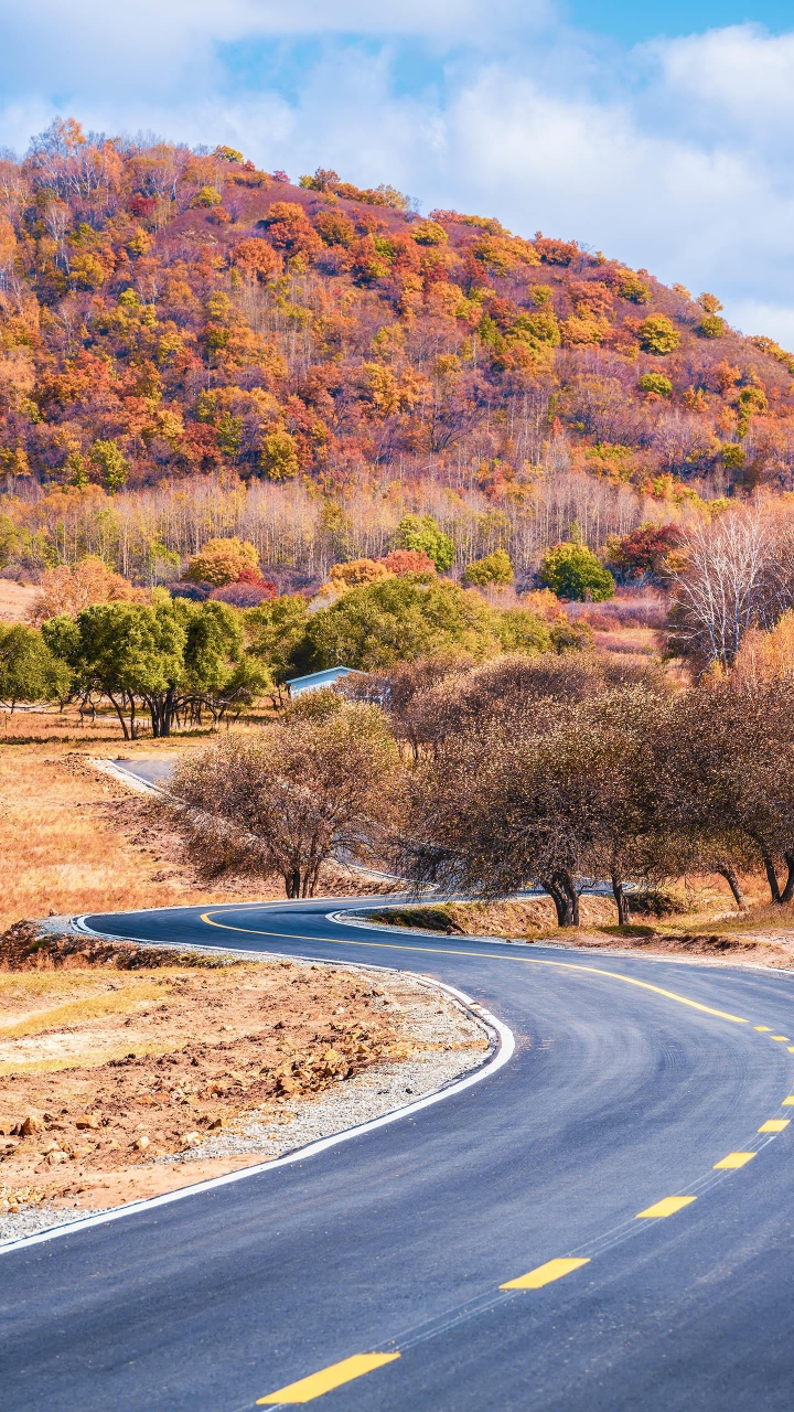 廋竹先生诗词专辑二
