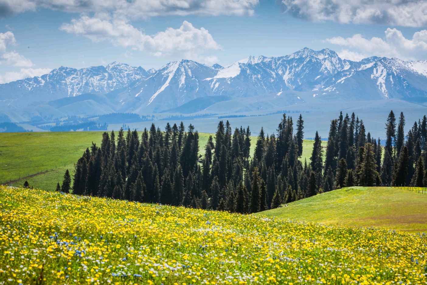 七月魅力新疆伊犁壮美天山风光摄影创作团