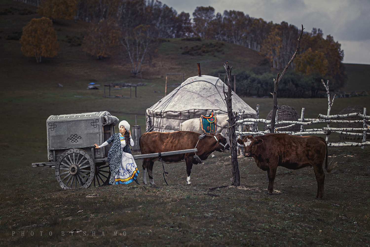走近草原,走近温馨的勒勒车,走近不老的民族文化