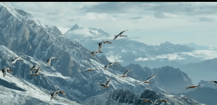 祖国的大好河山太美了