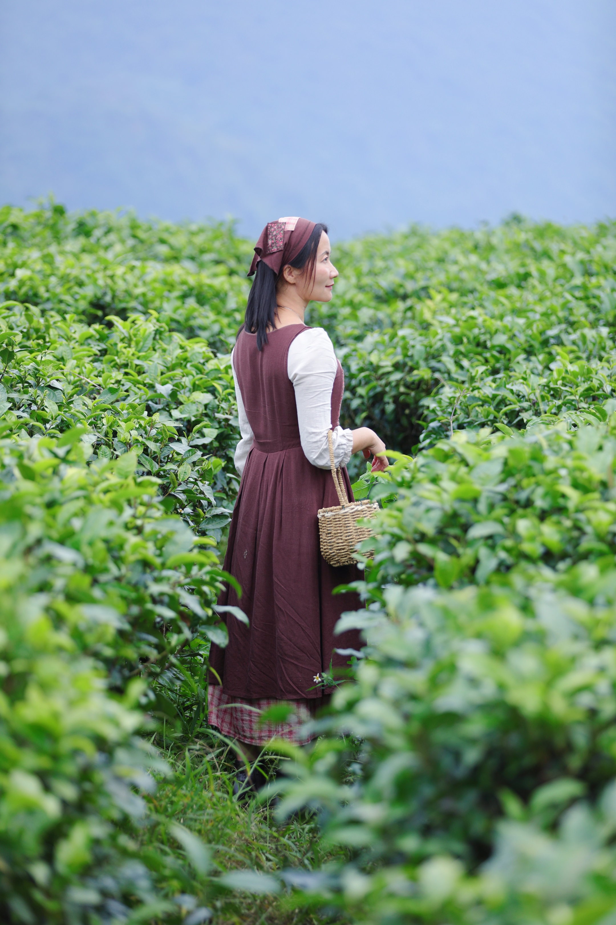 漂亮的采茶女孩图片图片