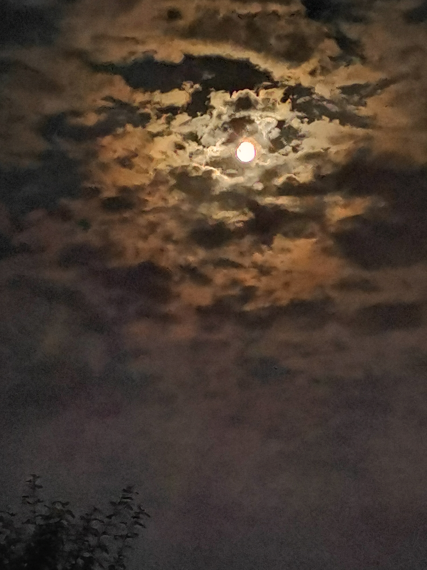 天上的彩云追月图片图片