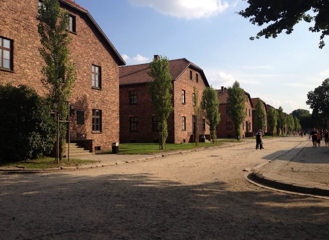 奥斯维辛纳粹暴行的铁证我们不可磨灭的记忆