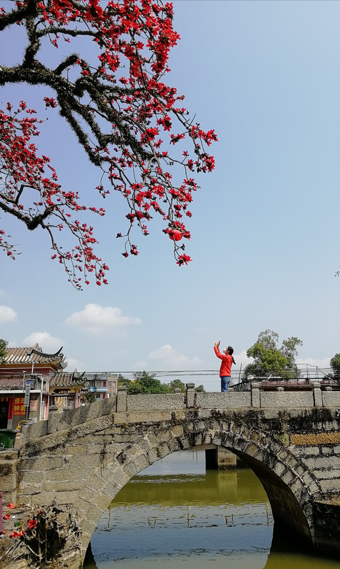 东凌乡古村木棉花之行