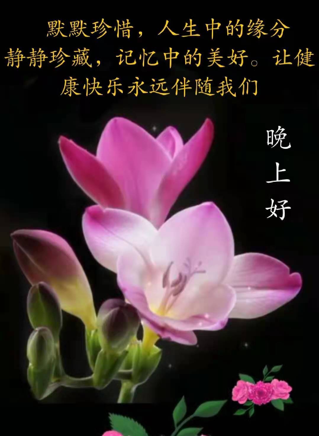 图配文:平安是福摄影:张玉勤摄影图配诗:张玉勤京剧:《将相和》蔺相如