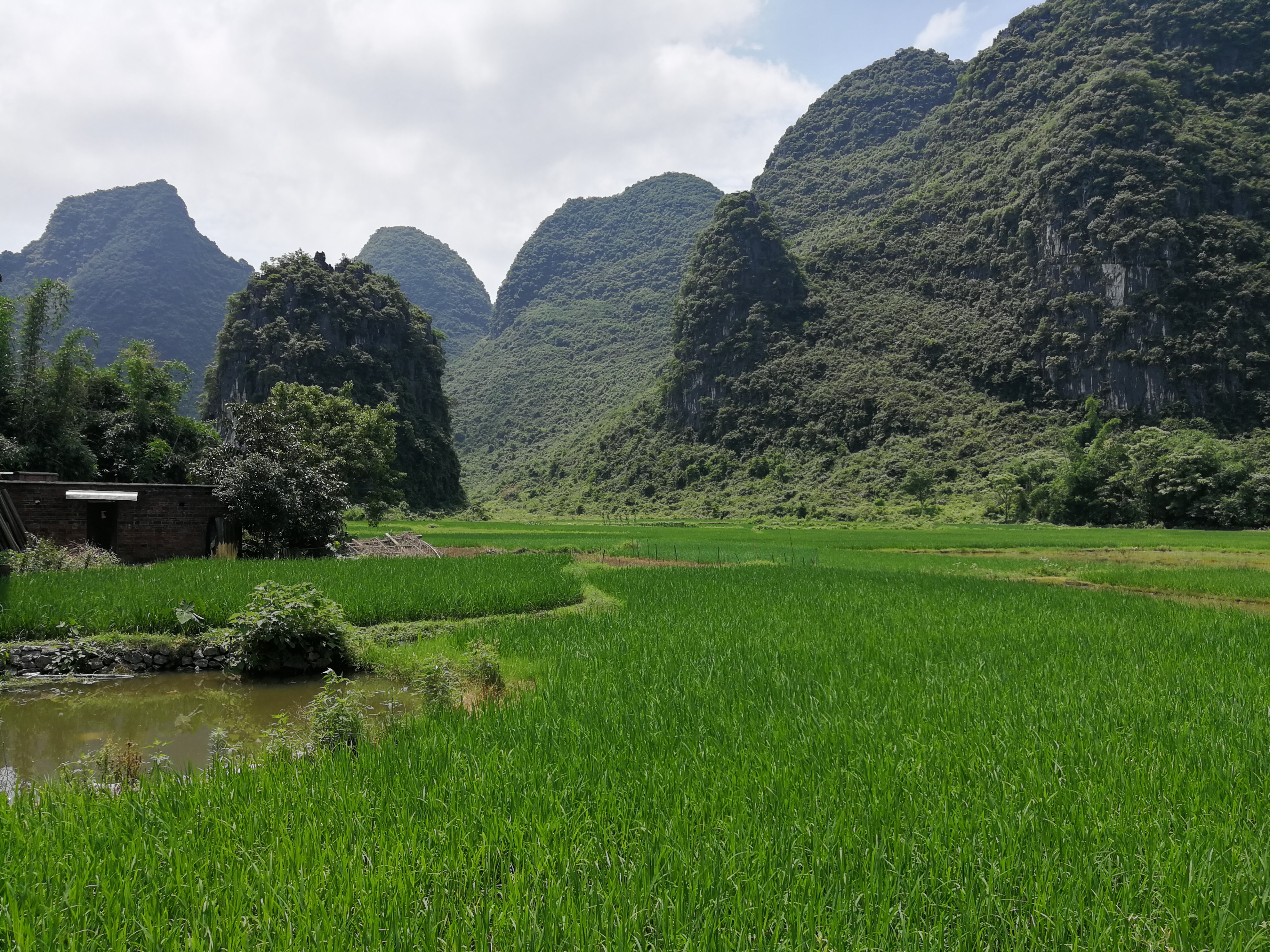 临桂田心村风光