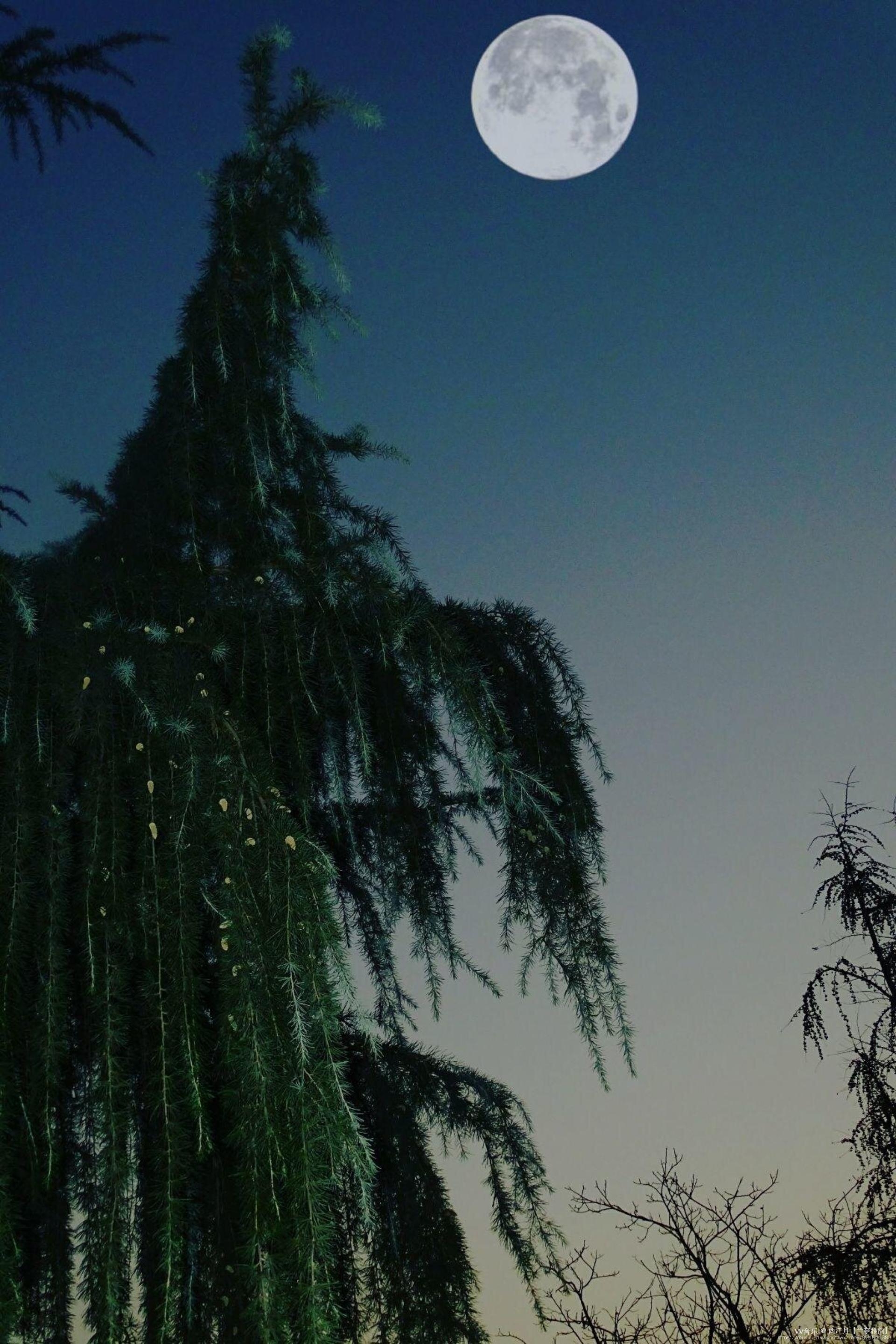 《清风明月解相留》vv首发