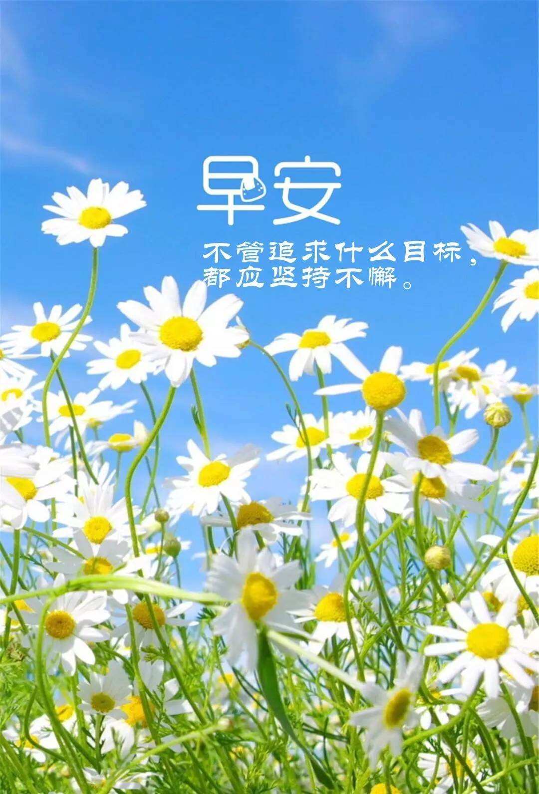 2018最新早安语录–让您一天满满的正能量