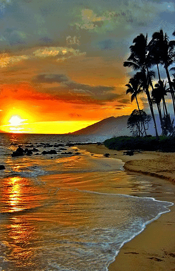 358_554竖版 竖屏gif 动态图 动图