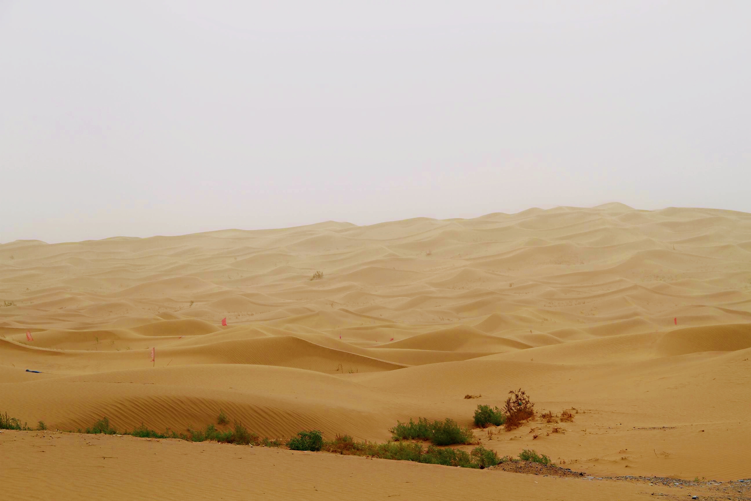 内蒙乌海金沙湾