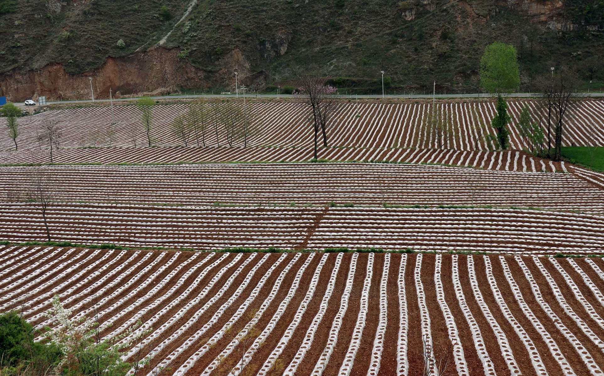 卢氏烟田美如画