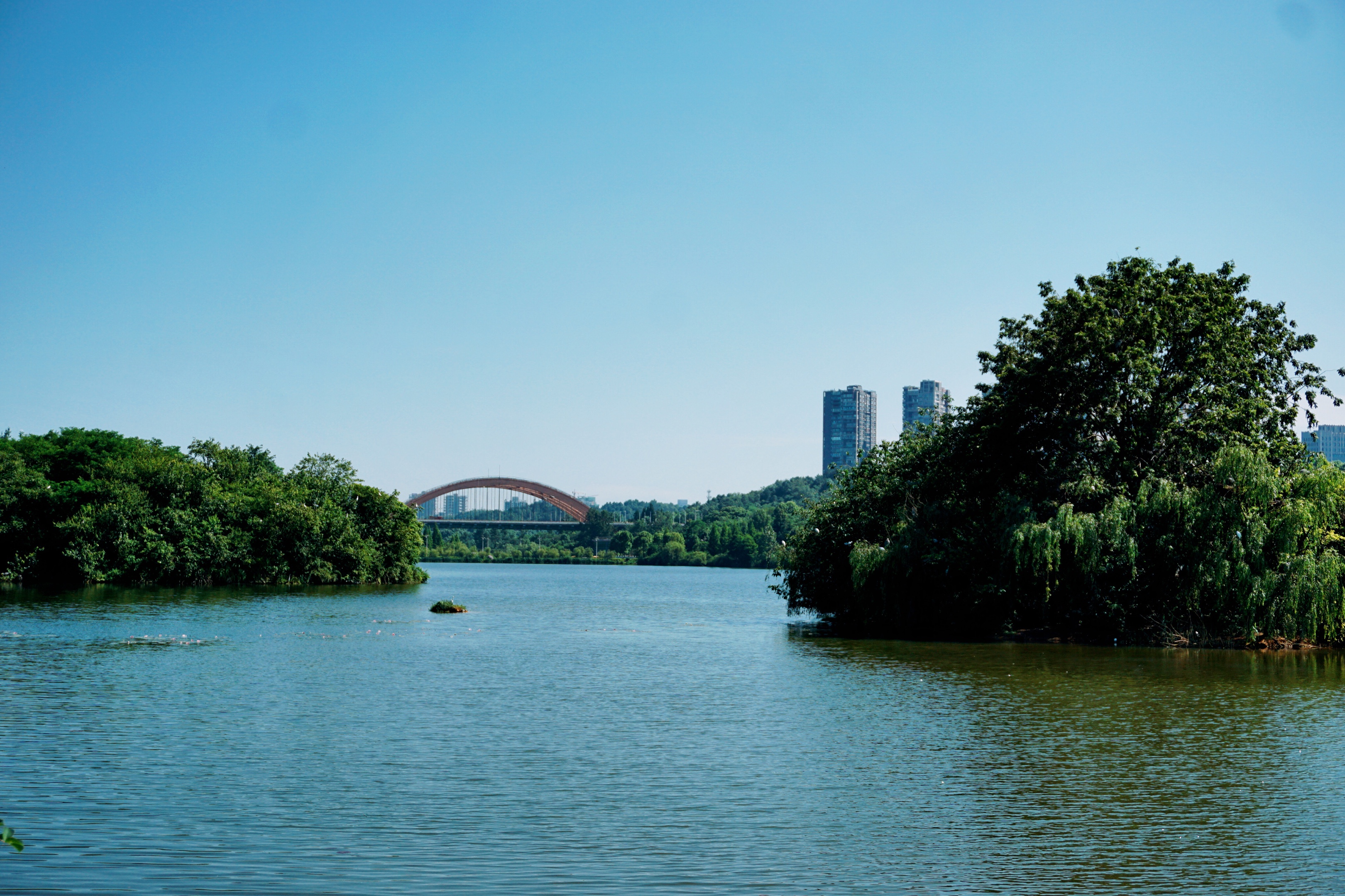 贵阳观山湖公园,是贵阳首个省级生态体育公园,公园占地面积5500