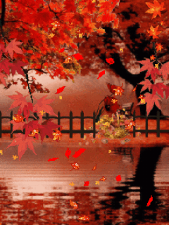 240_320竖版 竖屏gif 动态图 动图