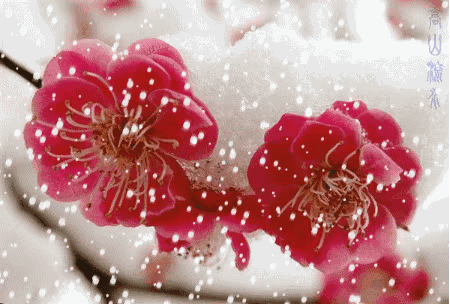 449_304gif 动态图 动图