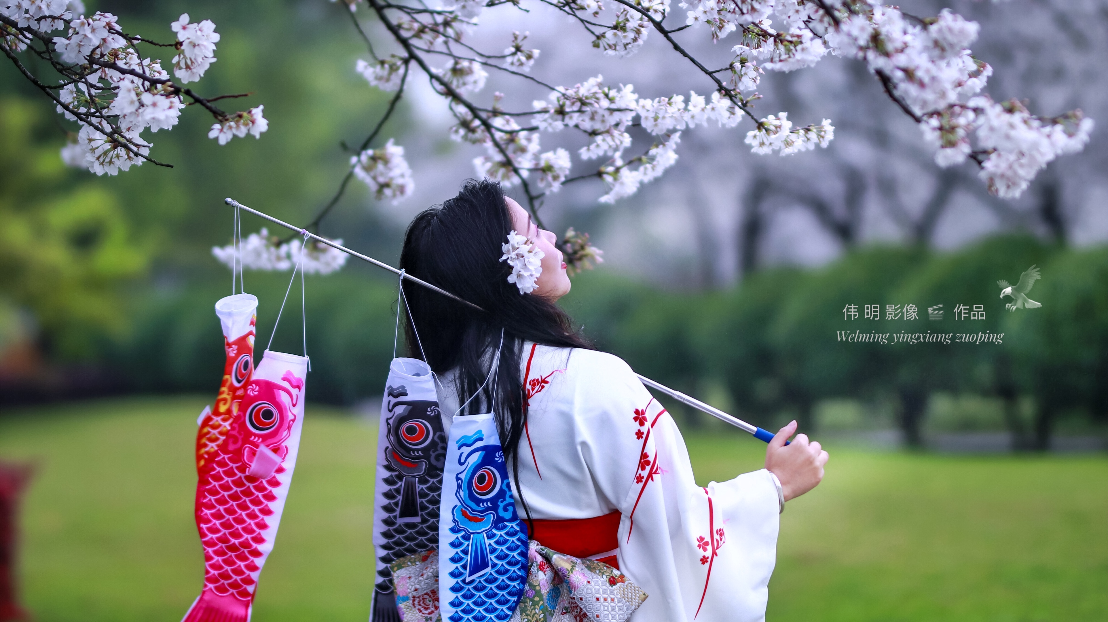 樱花树下