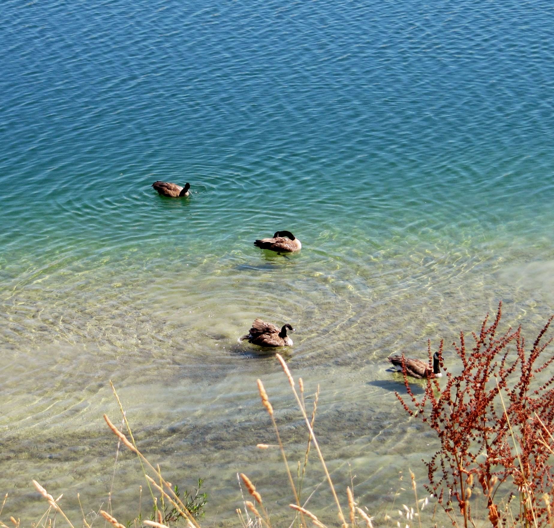 【首发】我喜欢的五彩湖