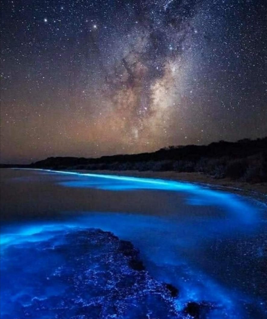 【西窗小情诗星河】首发