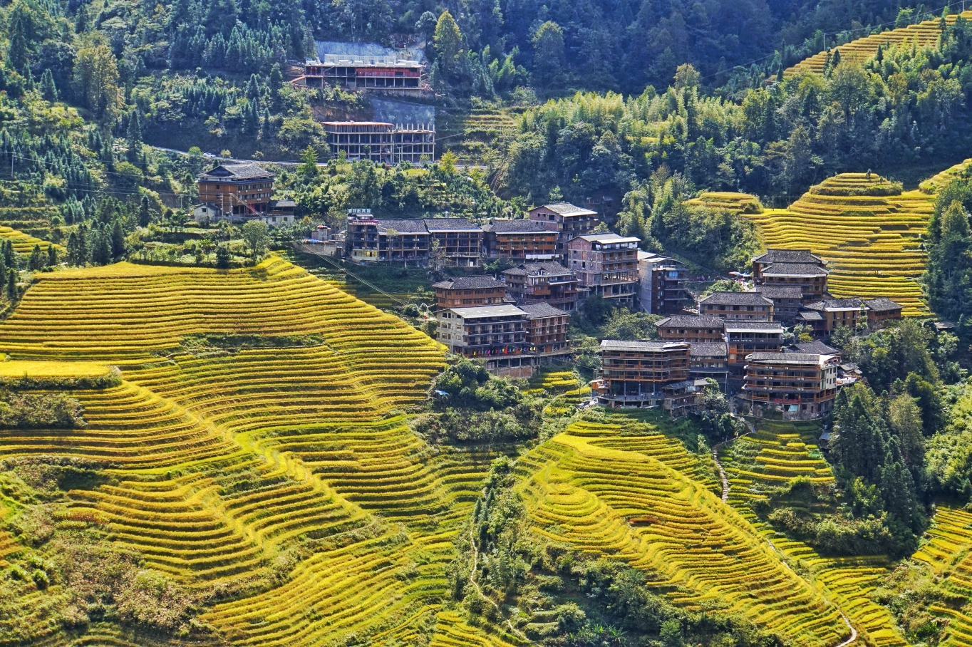 桂林龙胜龙脊金坑梯田