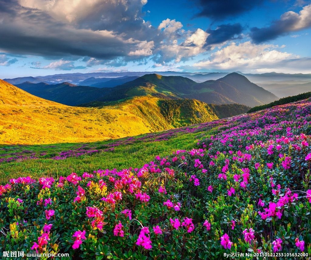 风雨萧萧四首 梅子二首 东柔七首 冰雪一首 杨欣二首 凡心一首 孙德力