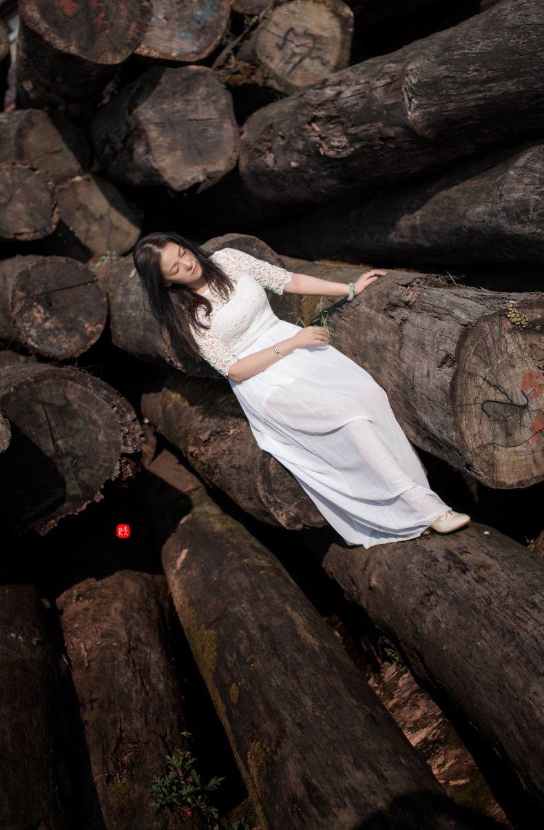 伊人的诗里有蛋糕的香甜,历经了几多哀愁,你累了吗?