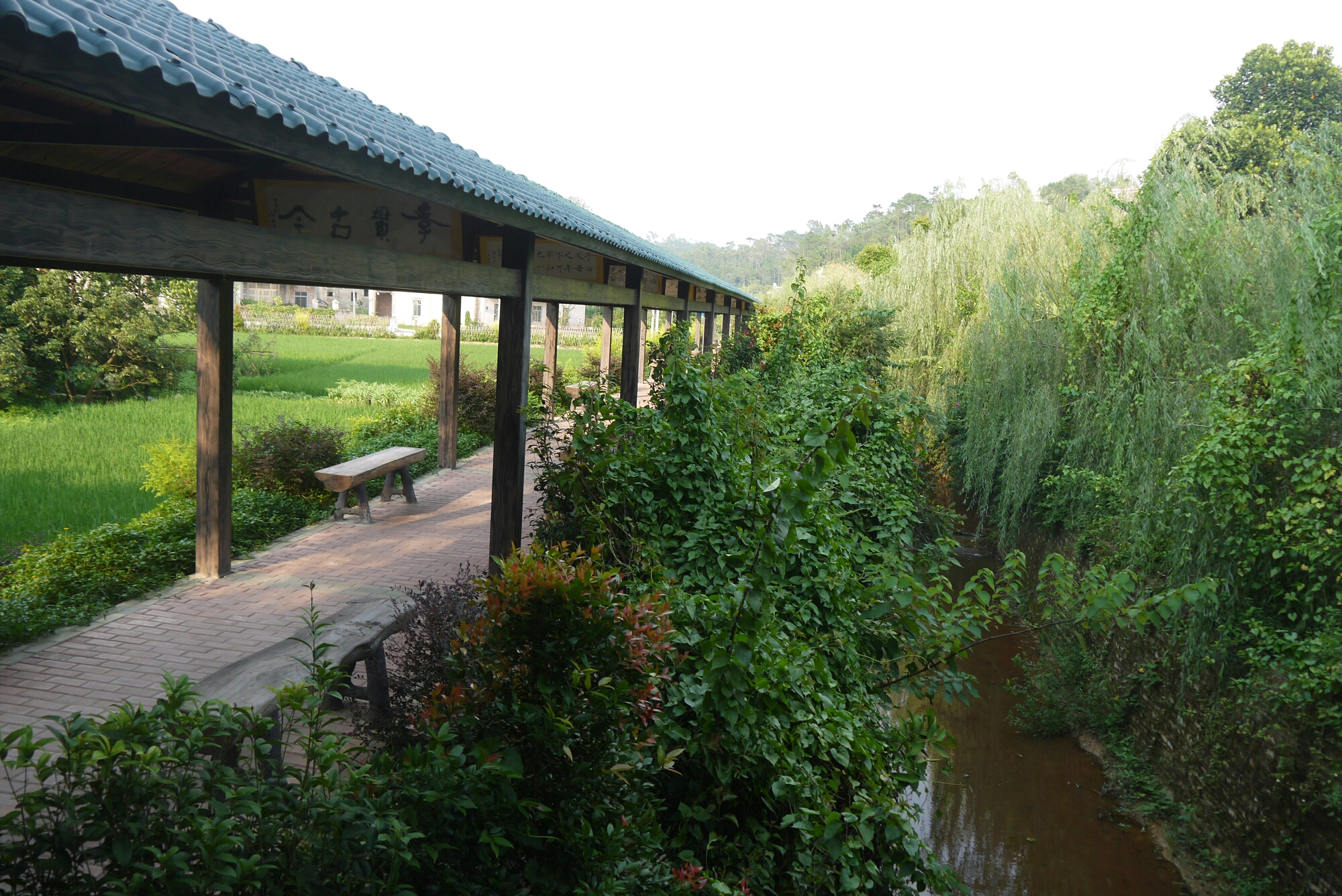 信宜市丁堡镇山背村