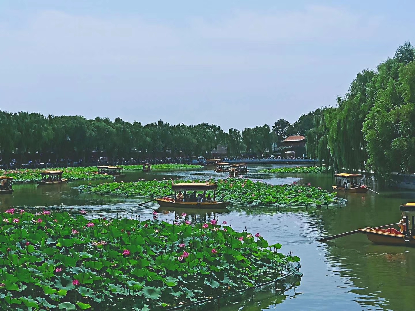 永遠的英雄八月家吟二十五風雨同舟英雄群