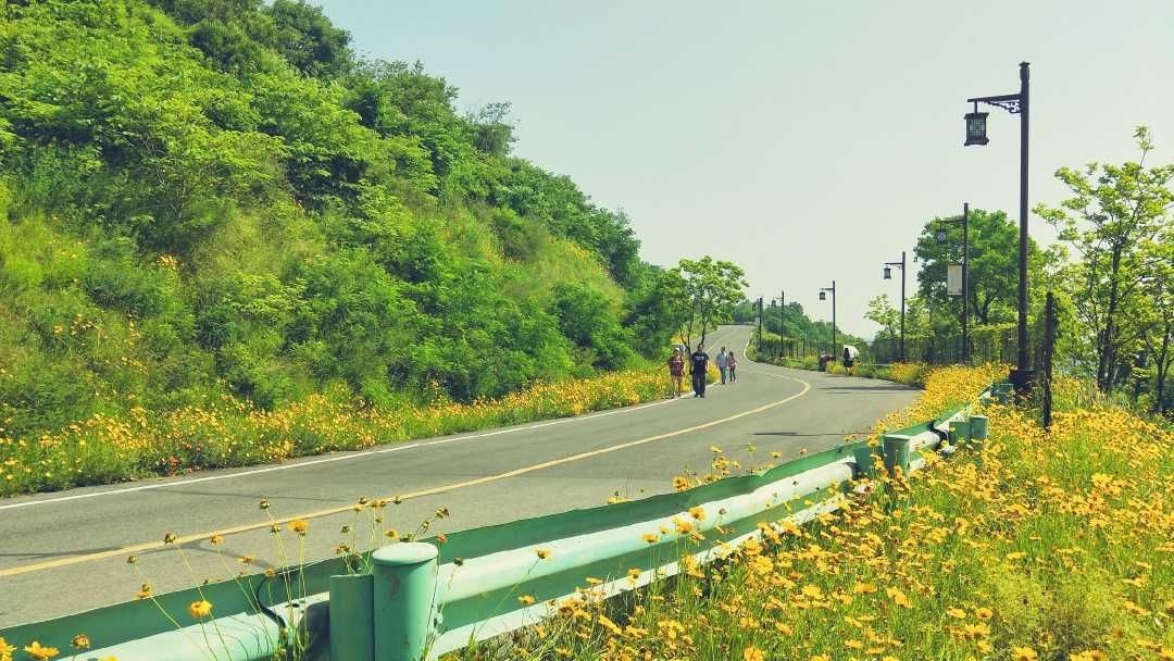 湖北襄阳岘山绿道图片