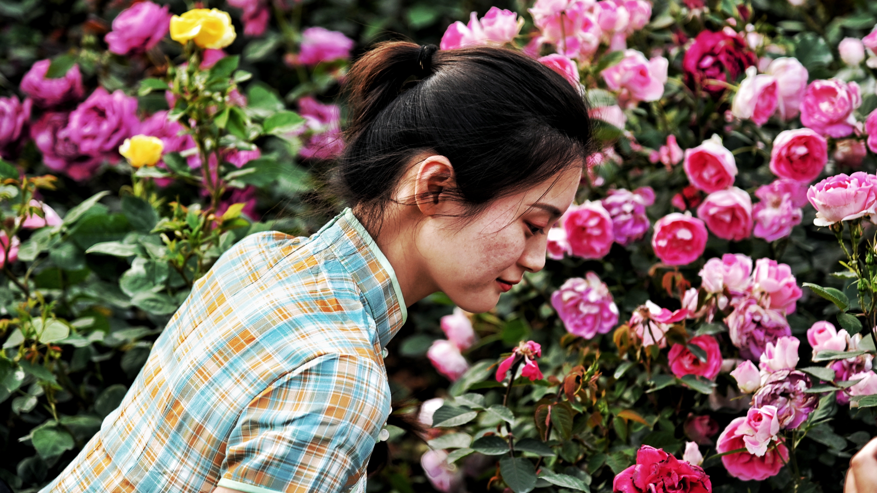 她在花丛中……《首发》