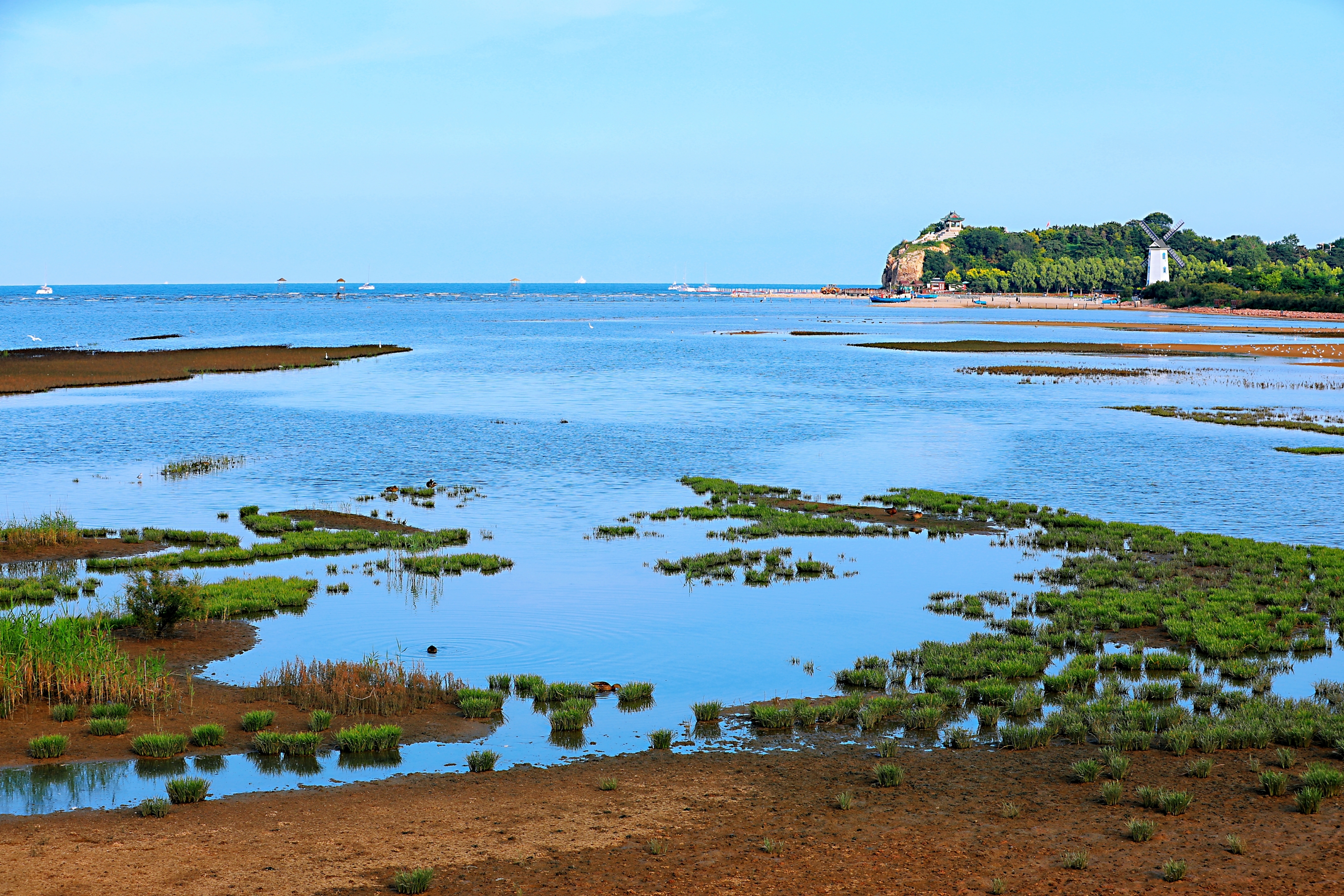 北戴河湿地