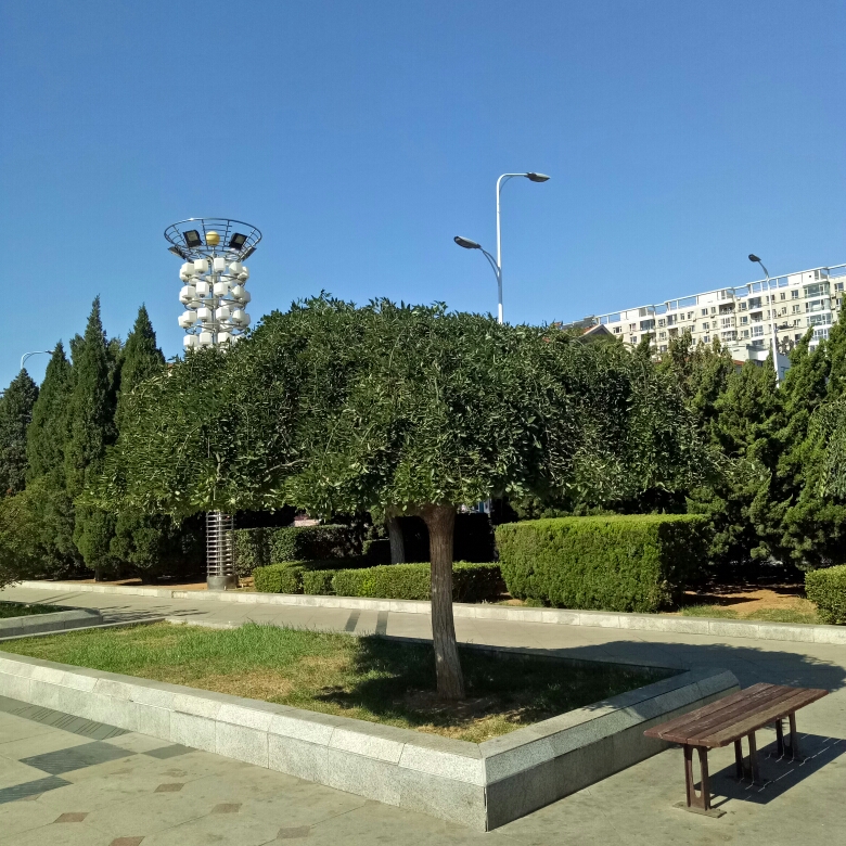 金州火车站广场大连金普新区向应公园威海市海上公园威海市乐天休闲